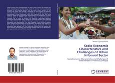 Copertina di Socio-Economic Characteristics and Challenges of Urban Informal Sector