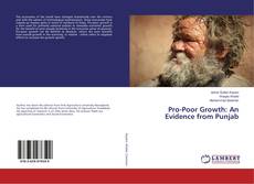 Copertina di Pro-Poor Growth: An Evidence from Punjab