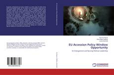 Buchcover von EU Accession Policy Window Opportunity