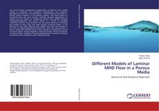 Copertina di Different Models of Laminar MHD Flow in a Porous Media