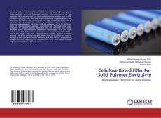Обложка Cellulose Based Filler For Solid Polymer Electrolyte
