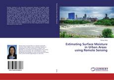 Bookcover of Estimating Surface Moisture in Urban Areas using Remote Sensing