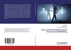 Capa do livro de Two and Three Dimensional Human Gait Modeling 