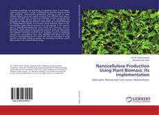 Buchcover von Nanocellulose Production Using Plant Biomass: Its Implementation