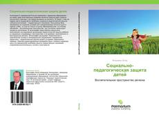 Capa do livro de Социально-педагогическая защита детей 