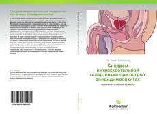 Copertina di Синдром интраскротальной гипертензии при острых эпидидимоорхитах
