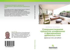 Bookcover of Совершенствование процессов шлифования и фрезерования древесных плит