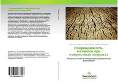 Buchcover von Повреждаемость металлов при импульсных нагрузках