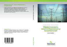 Buchcover von Эффективность энергосбережения у потребителей