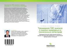 Buchcover von Трехмерная ГИС анализа и оценки природных и техногенных катастроф