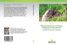 Bookcover of Общественные полевки подрода Sumeriomys