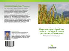 Обложка Минимальная обработка почв и гребневой посев риса на юге Казахстана