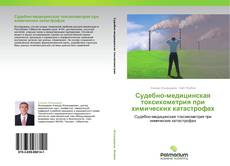 Borítókép a  Судебно-медицинская токсикометрия при химических катастрофах - hoz