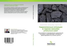 Copertina di Удароопасные ситуации в горном массиве угольных шахт