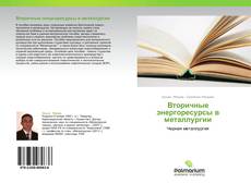 Borítókép a  Вторичные энергоресурсы в металлургии - hoz