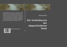 Bookcover of Die Verbleibsorte der abgeschiedenen Seele