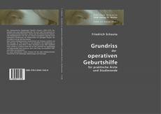 Bookcover of Grundriss der operativen Geburtshilfe