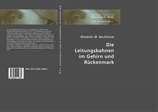 Bookcover of Die Leitungsbahnen im Gehirn und Rückenmark