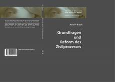 Обложка Grundfragen und Reform des Zivilprozesses