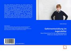 Portada del libro de Gehirnentwicklung im Jugendalter