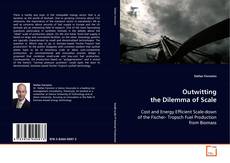Copertina di Outwitting the Dilemma of Scale