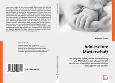 Adoleszente Mutterschaft的封面