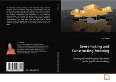 Copertina di Sensemaking and Constructing Meaning