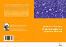 Portada del libro de Ölen von Sandstein als Witterungsschutz am Berner Münster