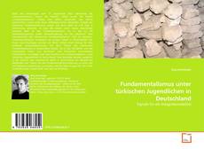 Bookcover of Fundamentalismus unter türkischen Jugendlichen in Deutschland