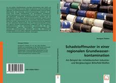 Bookcover of Schadstoffmuster in einer regionalen Grundwasserkontamination