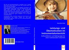 Leistungs- und Übemotivation im Instrumentalunterricht的封面