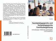 Buchcover von Sozialpädagogische und Heilpädagogische Familienbegleitung