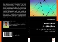 Inter-Particle Liquid Bridges kitap kapağı