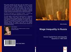 Wage Inequality in Russia kitap kapağı