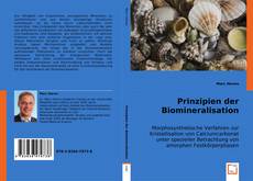 Copertina di Prinzipien der Biomineralisation