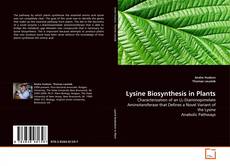 Обложка Lysine Biosynthesis in Plants