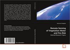 Buchcover von Remote Sensing of Vegetation Water and Fire Risk