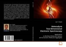 Bookcover of Heterodyne Two-Dimensional Electronic Spectroscopy