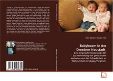 Capa do livro de Babyboom in der Dresdner Neustadt. 