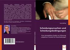 Scheidungsursachen und Scheidungsbedingungen kitap kapağı