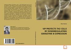Buchcover von VIP PROTECTS TH2 CELLS BY DOWNREGULATING GRANZYME B
EXPRESSION