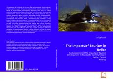 Buchcover von The Impacts of Tourism in Belize