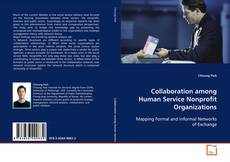 Copertina di Collaboration among Human Service Nonprofit
Organizations