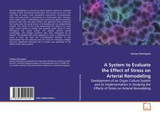 Buchcover von A System to Evaluate the Effect of Stress on Arterial
Remodeling
