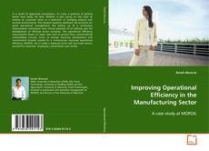 Copertina di Improving Operational Efficiency in the Manufacturing
Sector