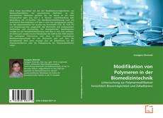 Bookcover of Modifikation von Polymeren in der Biomedizintechnik