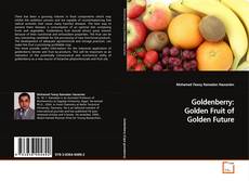 Buchcover von Goldenberry: Golden Fruit of Golden Future