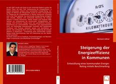 Steigerung der Energieeffizienz in Kommunen的封面