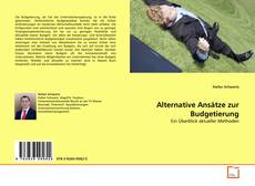 Bookcover of Alternative Ansätze zur Budgetierung