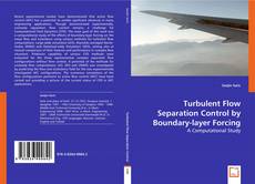 Copertina di Turbulent Flow Separation Control by Boundary-layer Forcing